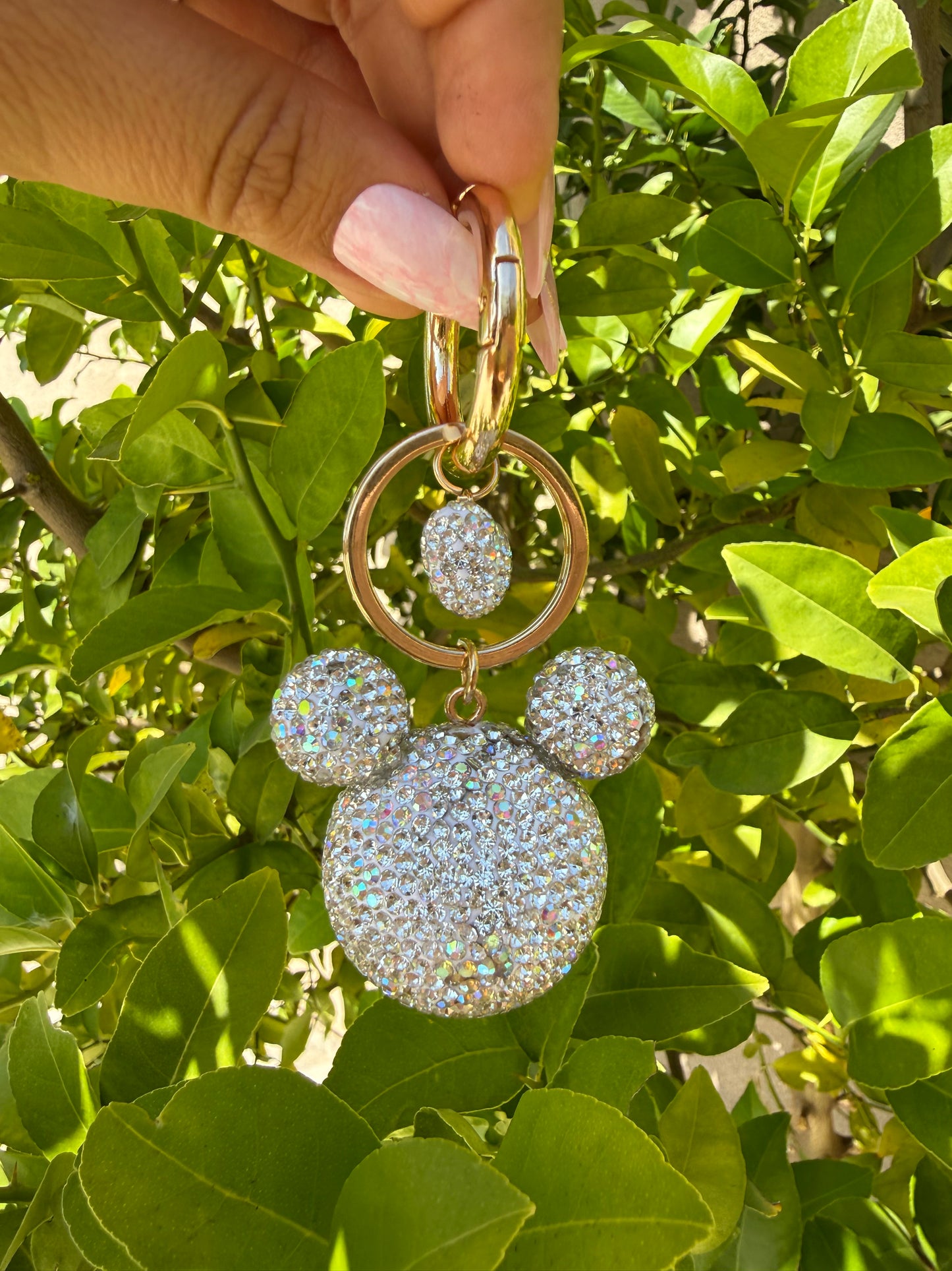 Bedazzled Mouse β¨β¨π€β¨β¨